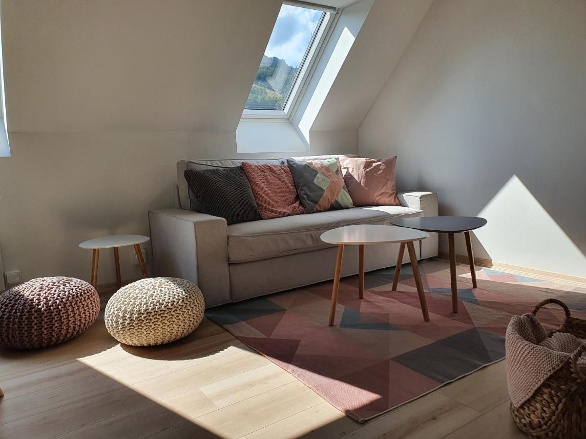 Apartmany Brachovna Mikulov v Krusnych Horach Экстерьер фото