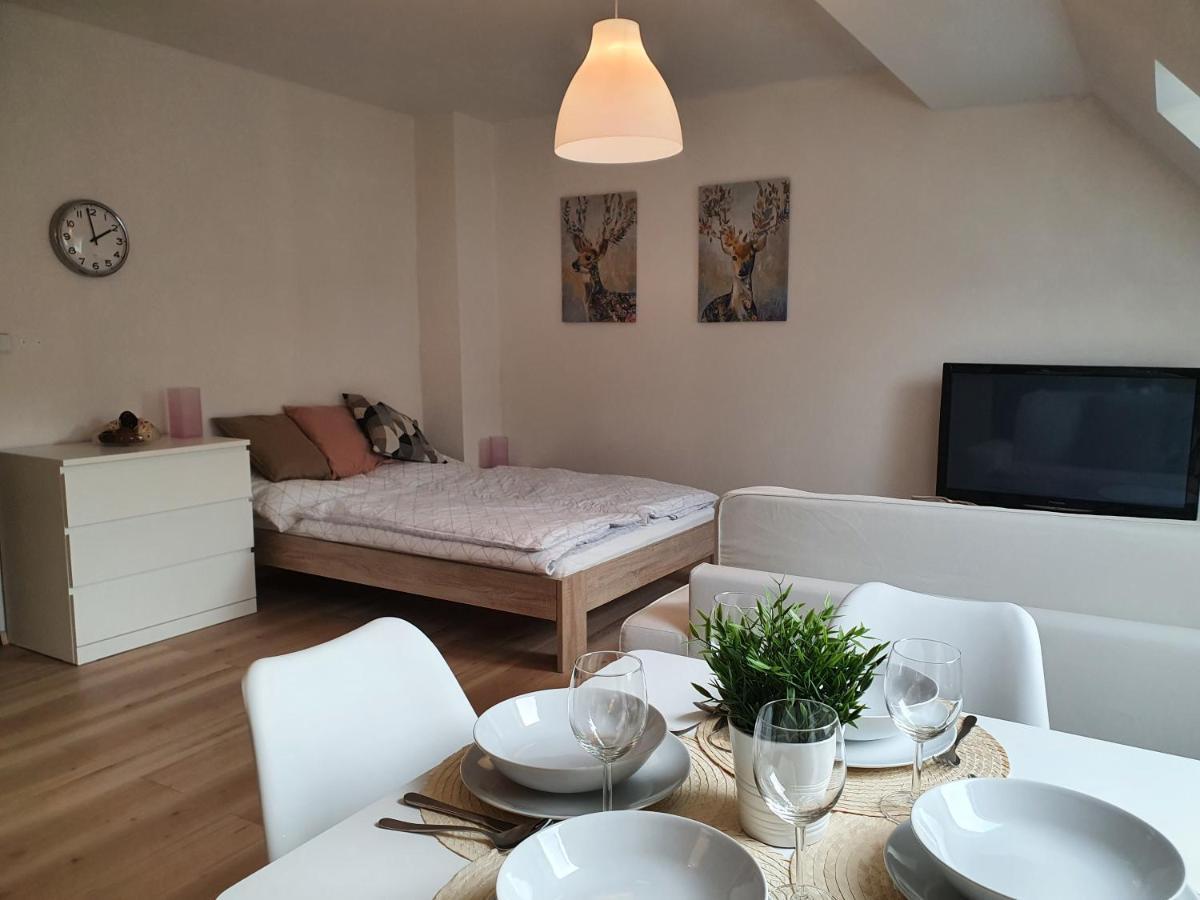 Apartmany Brachovna Mikulov v Krusnych Horach Экстерьер фото