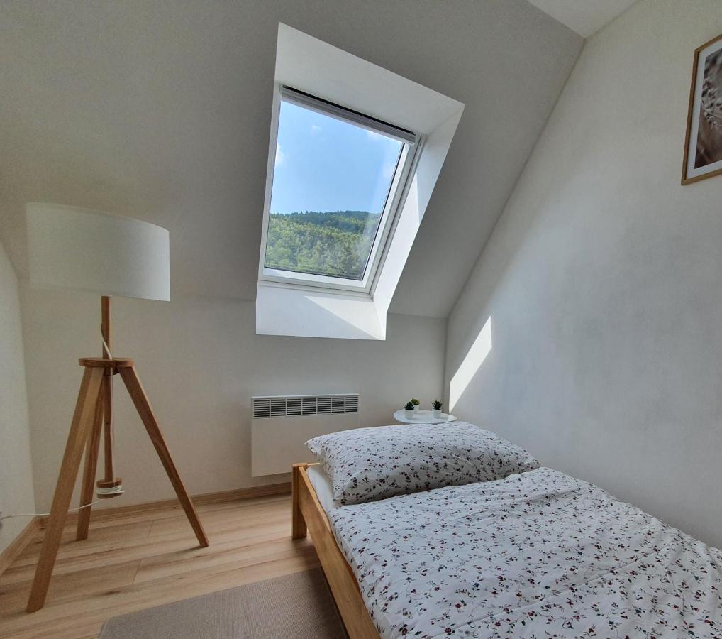 Apartmany Brachovna Mikulov v Krusnych Horach Экстерьер фото