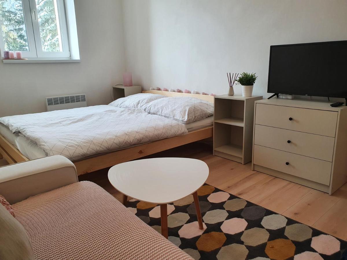 Apartmany Brachovna Mikulov v Krusnych Horach Экстерьер фото